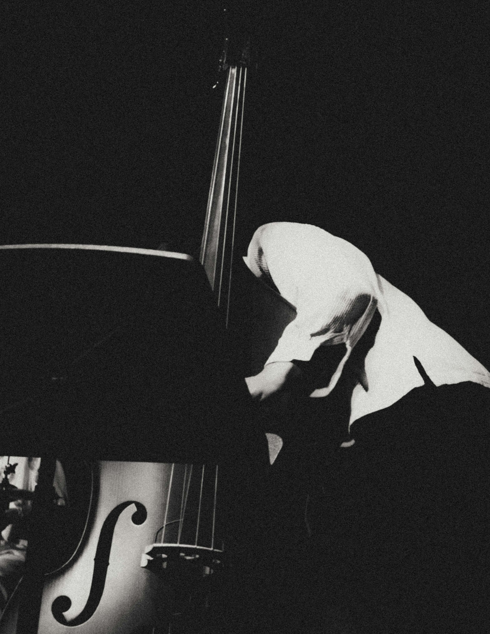 Bassist Ewan Hastie in Anoushka Nanguy’s band, Noushy4TET. Photo by Alexander James-Aylin (@alexjamesaylin).
